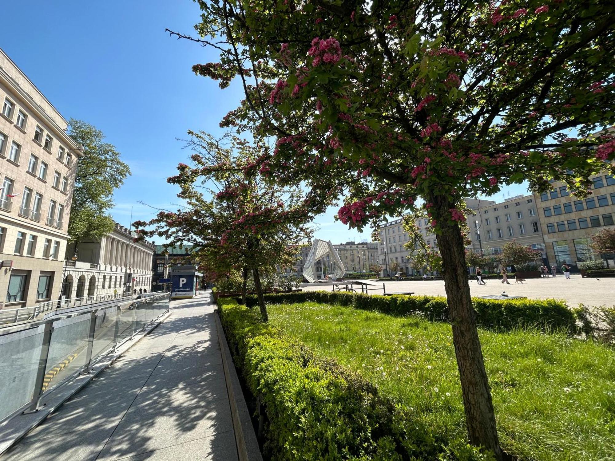 Apartamenty Pl. Wolnosci 6 Poznan Exterior photo